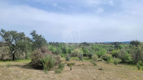 Quinta para Venda em Aldeia do Bispo, Águas e Aldeia de João Pires