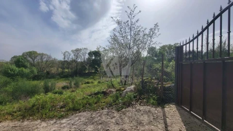Quinta para Venda em Aldeia do Bispo, Águas e Aldeia de João Pires