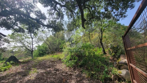 Quinta para Venda em Aldeia do Bispo, Águas e Aldeia de João Pires