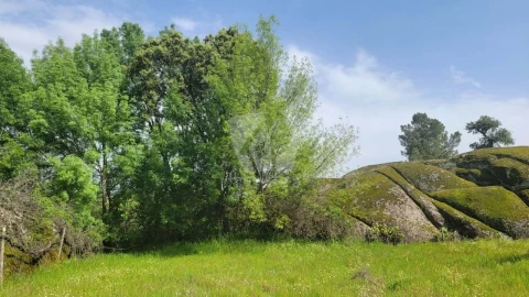 Quinta para Venda em Aldeia do Bispo, Águas e Aldeia de João Pires