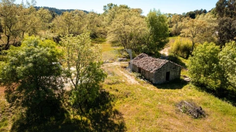 Quinta para Venda em Aldeia do Bispo, Águas e Aldeia de João Pires