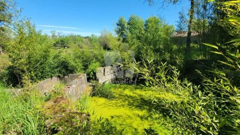 Quinta para Venda em Aldeia do Bispo, Águas e Aldeia de João Pires
