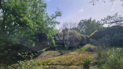 Quinta para Venda em Aldeia do Bispo, Águas e Aldeia de João Pires
