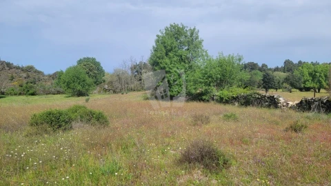 Quinta para Venda em Aldeia do Bispo, Águas e Aldeia de João Pires