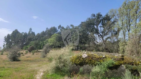 Quinta para Venda em Aldeia do Bispo, Águas e Aldeia de João Pires