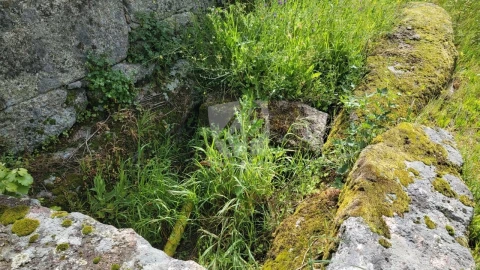 Quinta para Venda em Aldeia do Bispo, Águas e Aldeia de João Pires