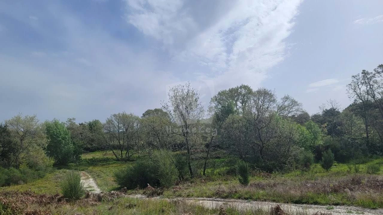 Quinta para Venda em Aldeia do Bispo, Águas e Aldeia de João Pires Foto 10