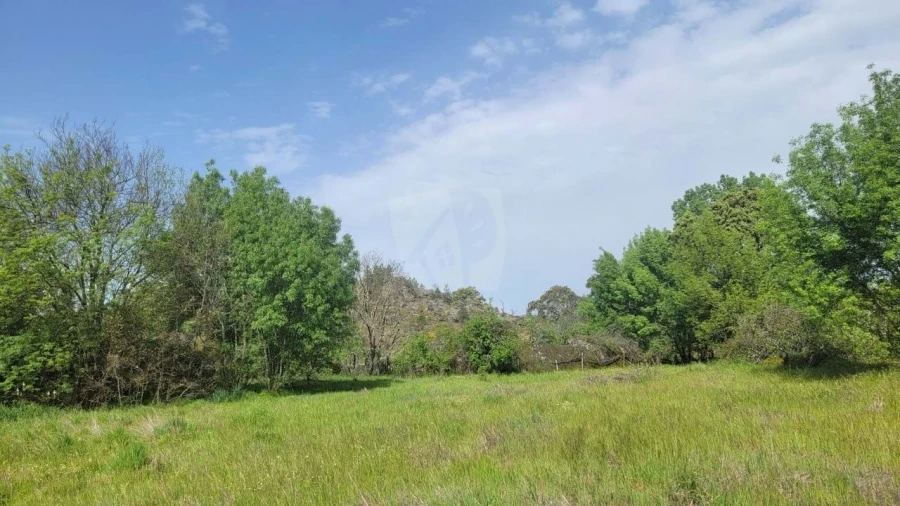 Quinta para Venda em Aldeia do Bispo, Águas e Aldeia de João Pires Foto 31