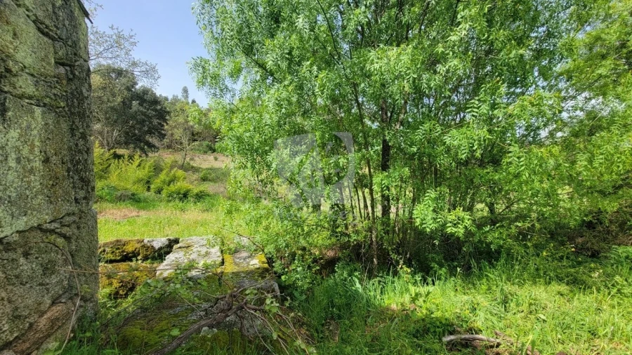 Quinta para Venda em Aldeia do Bispo, Águas e Aldeia de João Pires Foto 47