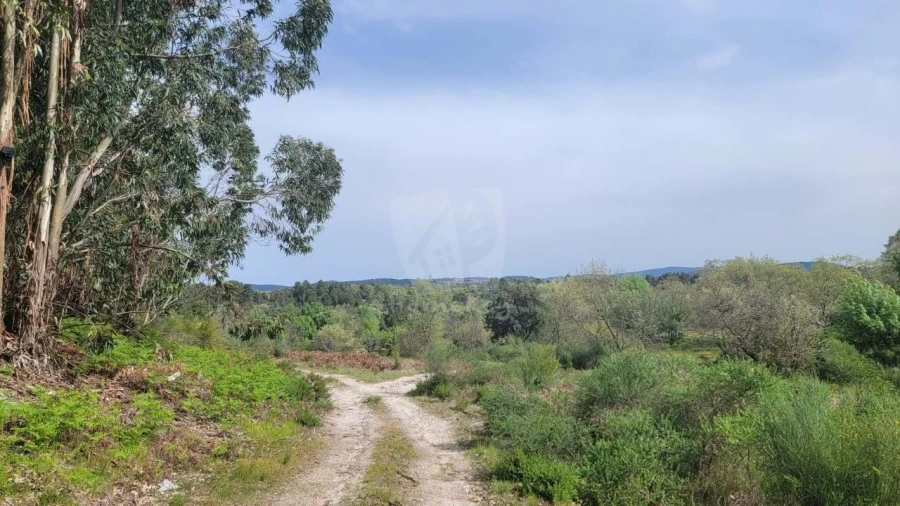 Quinta para Venda em Aldeia do Bispo, Águas e Aldeia de João Pires Foto 8