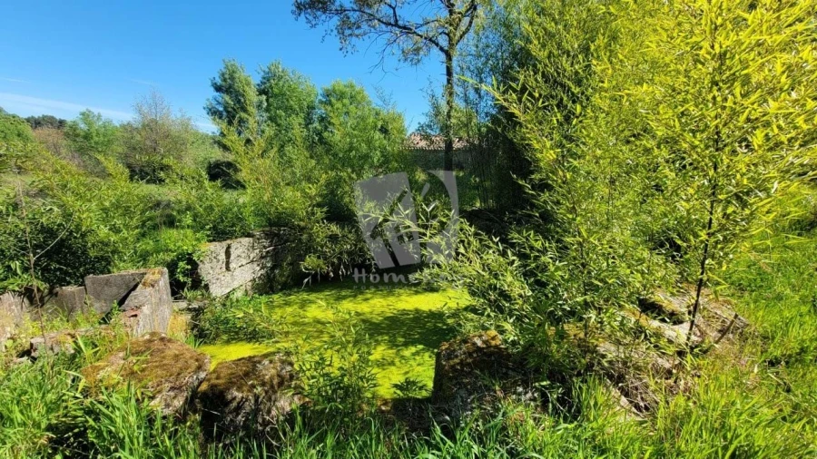 Quinta para Venda em Aldeia do Bispo, Águas e Aldeia de João Pires Foto 53