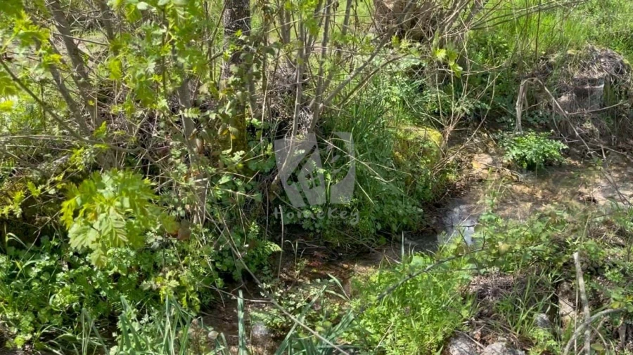 Quinta para Venda em Aldeia do Bispo, Águas e Aldeia de João Pires Foto 48
