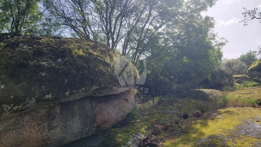 Quinta para Venda em Aldeia do Bispo, Águas e Aldeia de João Pires Foto 25
