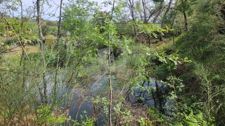 Quinta para Venda em Aldeia do Bispo, Águas e Aldeia de João Pires Foto 37