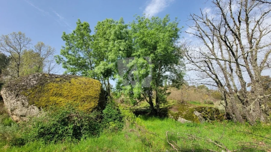 Quinta para Venda em Aldeia do Bispo, Águas e Aldeia de João Pires Foto 26