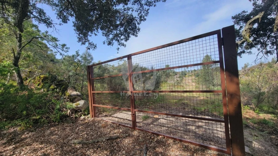 Quinta para Venda em Aldeia do Bispo, Águas e Aldeia de João Pires Foto 17