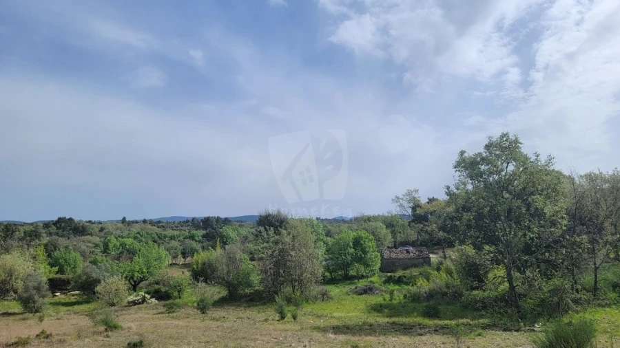 Quinta para Venda em Aldeia do Bispo, Águas e Aldeia de João Pires Foto 12