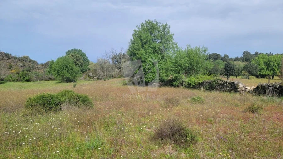Quinta para Venda em Aldeia do Bispo, Águas e Aldeia de João Pires Foto 35