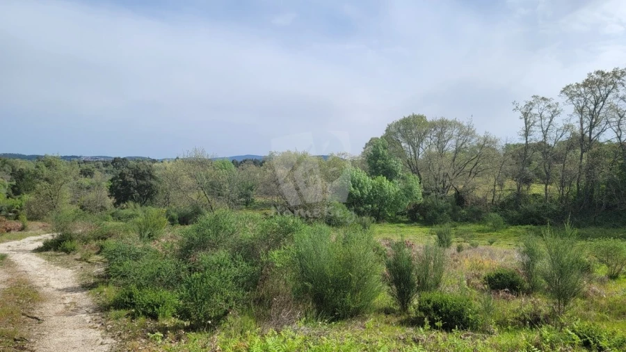 Quinta para Venda em Aldeia do Bispo, Águas e Aldeia de João Pires Foto 7