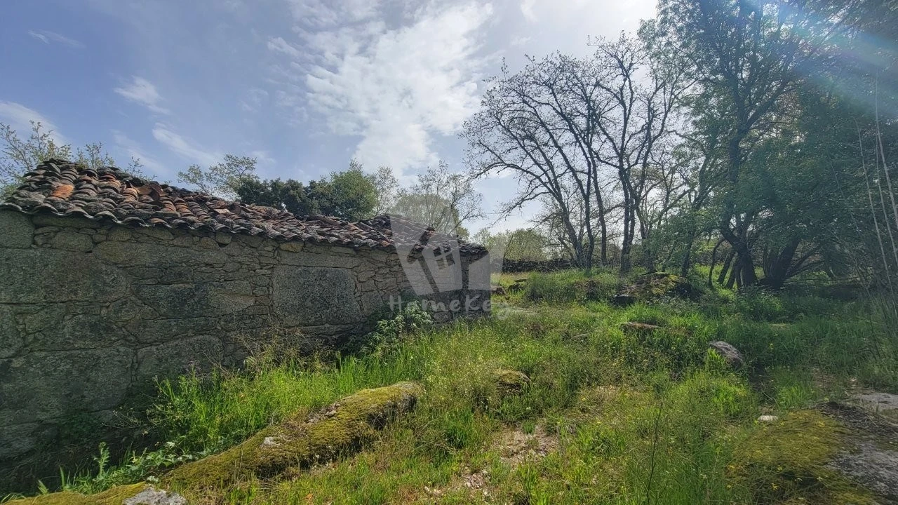 Quinta para Venda em Aldeia do Bispo, Águas e Aldeia de João Pires Foto 49