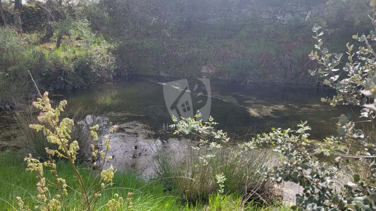 Quinta para Venda em Aldeia do Bispo, Águas e Aldeia de João Pires Foto 34