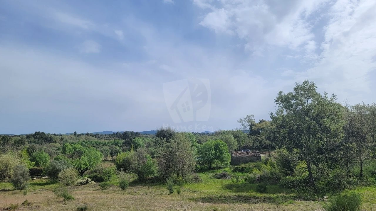 Quinta para Venda em Aldeia do Bispo, Águas e Aldeia de João Pires Foto 12