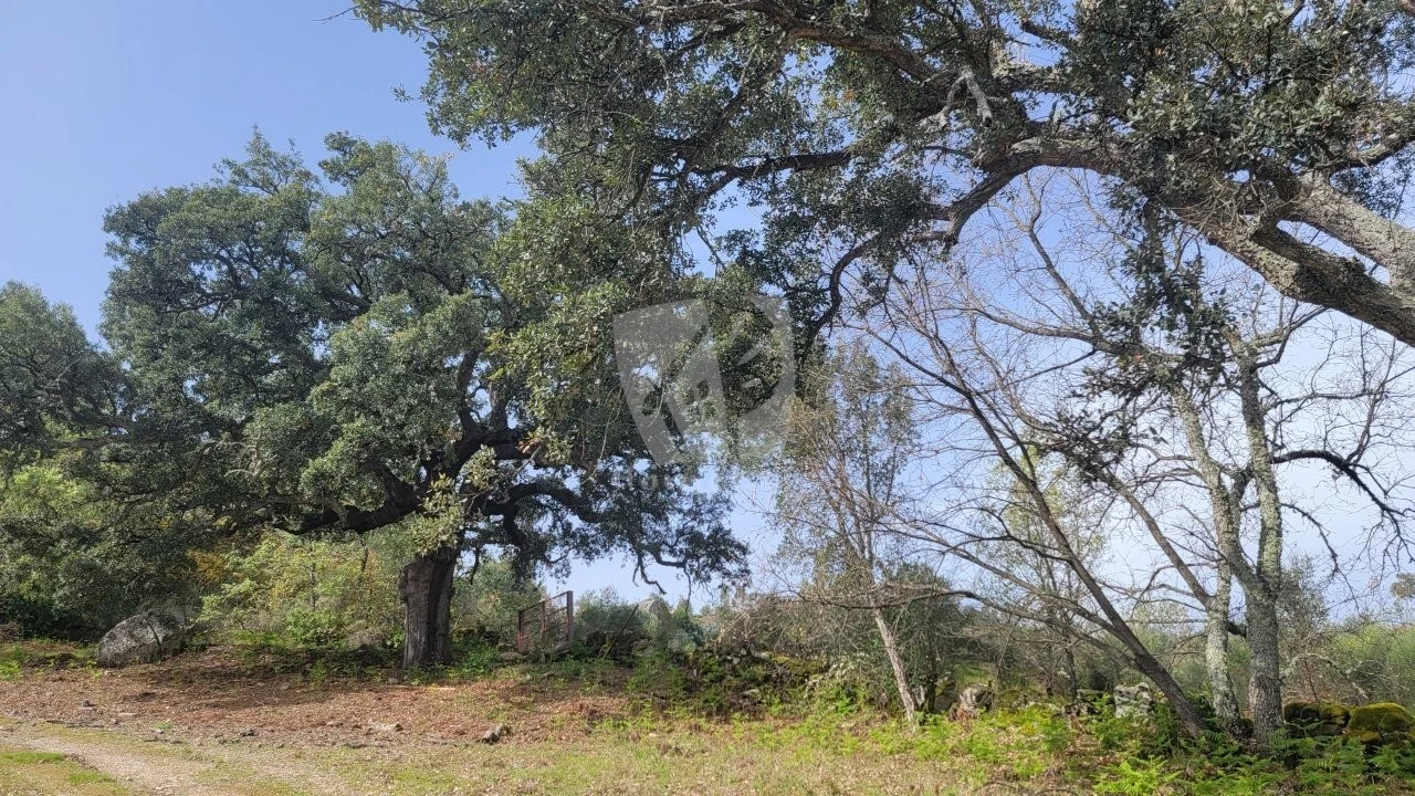 Quinta para Venda em Aldeia do Bispo, Águas e Aldeia de João Pires Foto 19