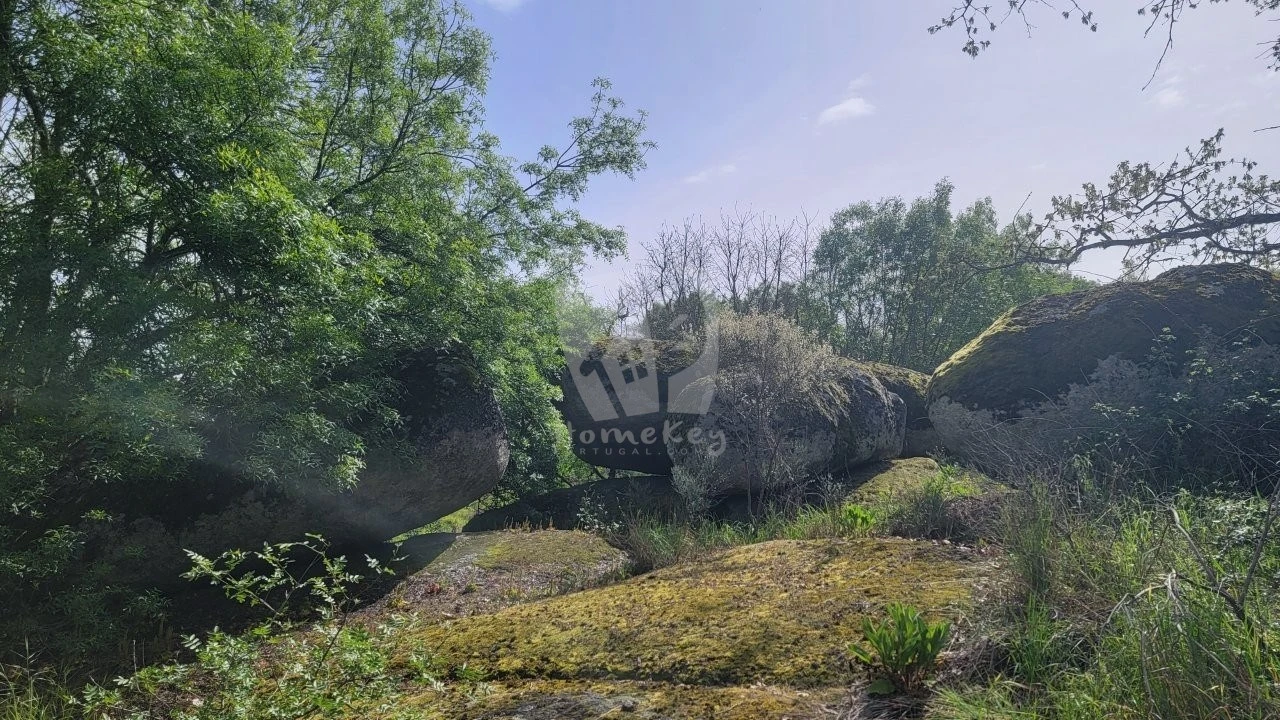 Quinta para Venda em Aldeia do Bispo, Águas e Aldeia de João Pires Foto 24
