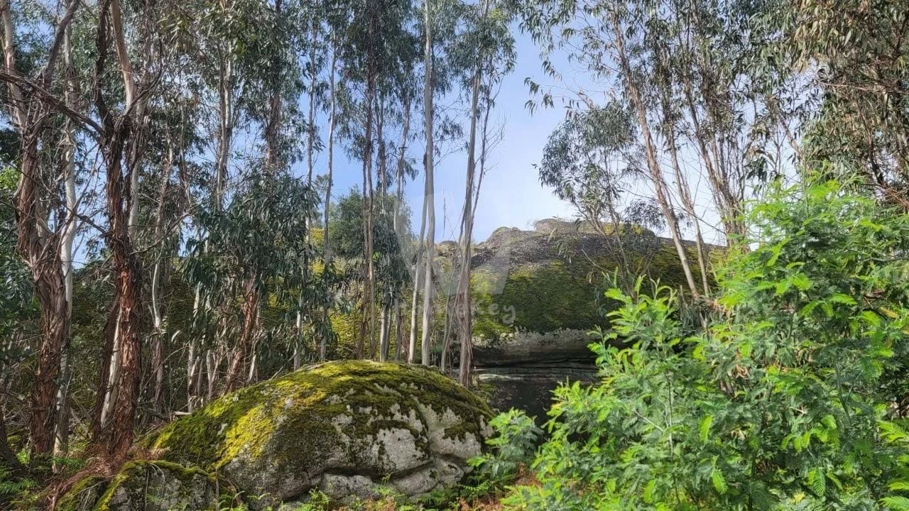 Quinta para Venda em Aldeia do Bispo, Águas e Aldeia de João Pires Foto 11