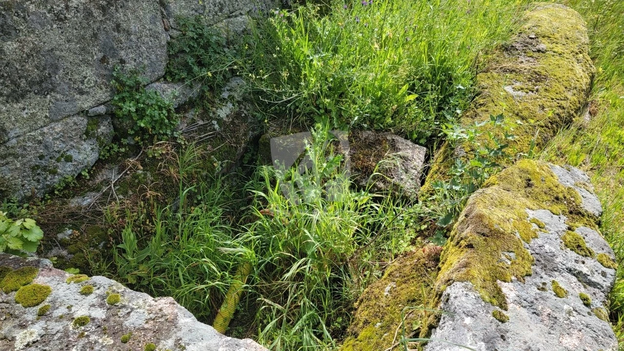 Quinta para Venda em Aldeia do Bispo, Águas e Aldeia de João Pires Foto 52