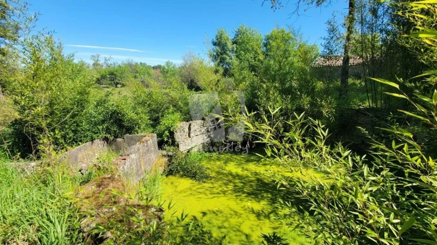 Quinta para Venda em Aldeia do Bispo, Águas e Aldeia de João Pires