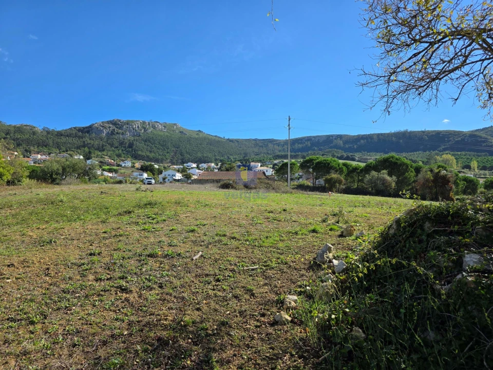 Terreno para Venda em Lamas e Cercal Foto 1