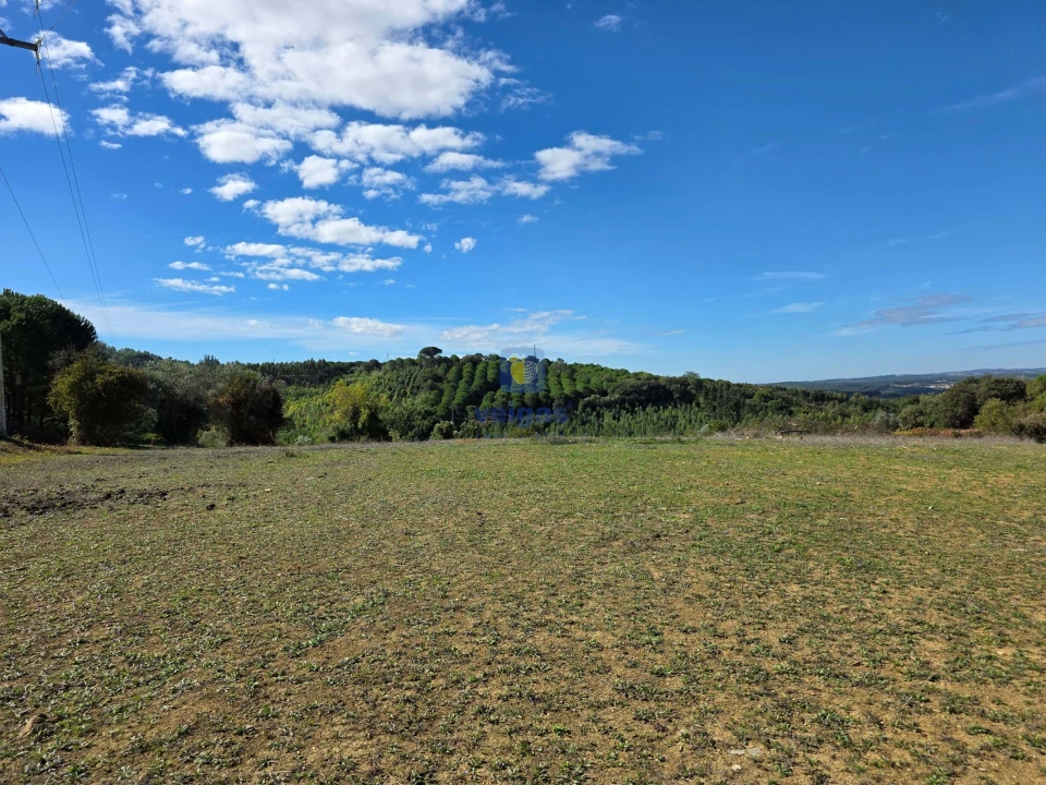 Terreno para Venda em Lamas e Cercal Foto 3