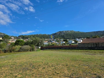 Terreno para Venda em Lamas e Cercal