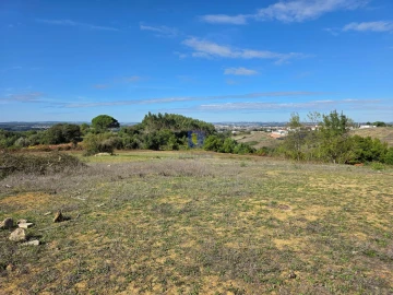 Terreno para Venda em Lamas e Cercal