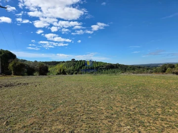 Terreno para Venda em Lamas e Cercal