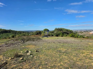 Terreno para Venda em Lamas e Cercal