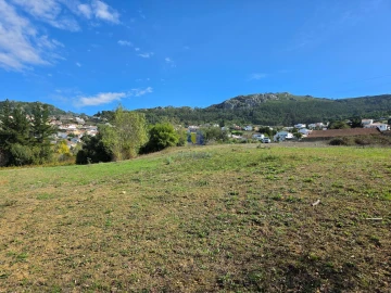 Terreno para Venda em Lamas e Cercal