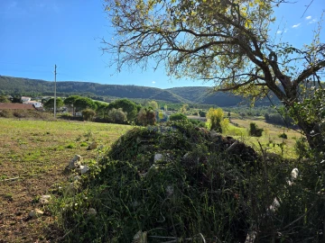 Terreno para Venda em Lamas e Cercal