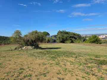 Terreno para Venda em Lamas e Cercal