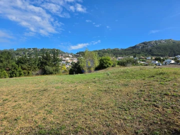 Terreno para Venda em Lamas e Cercal
