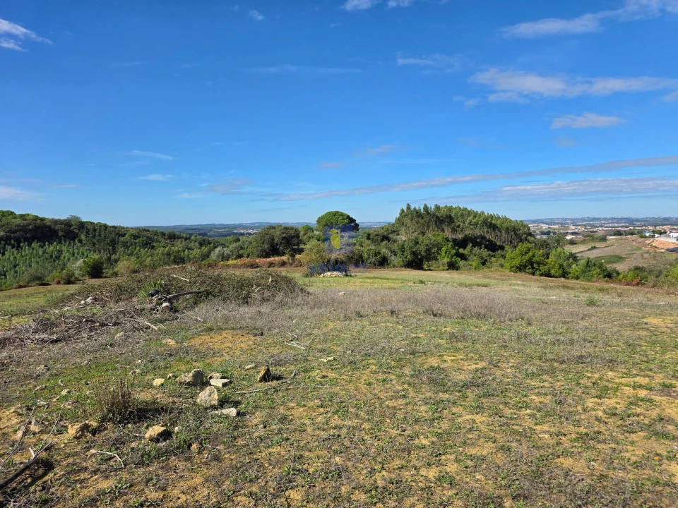 Terreno para Venda em Lamas e Cercal Foto 7