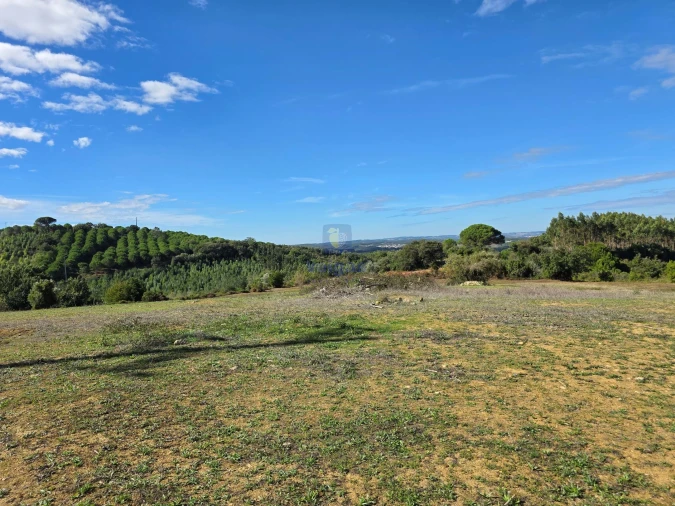 Terreno para Venda em Lamas e Cercal Foto 4