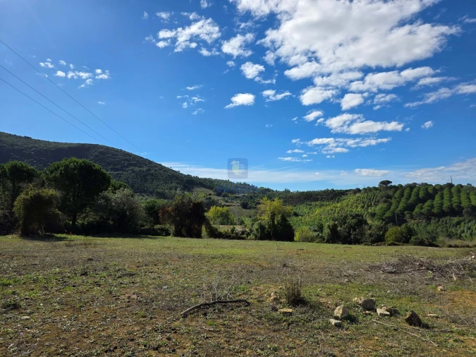 Terreno para Venda em Lamas e Cercal Foto 10