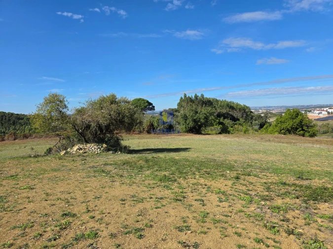 Terreno para Venda em Lamas e Cercal Foto 11