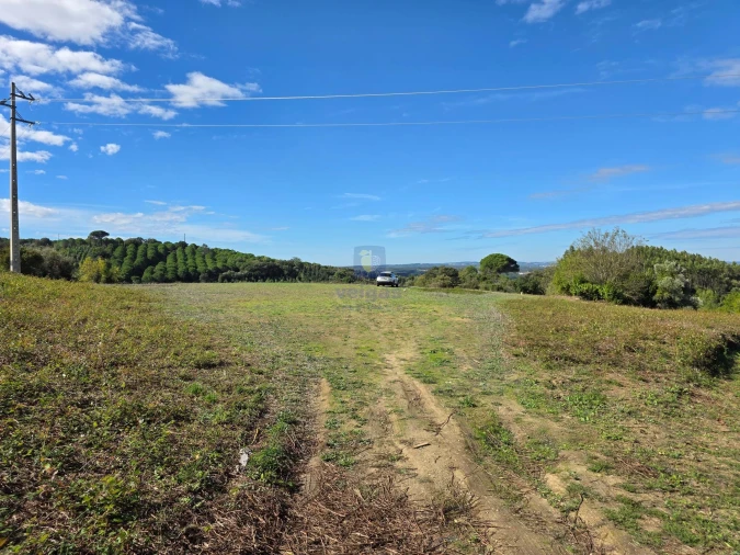 Terreno para Venda em Lamas e Cercal Foto 2