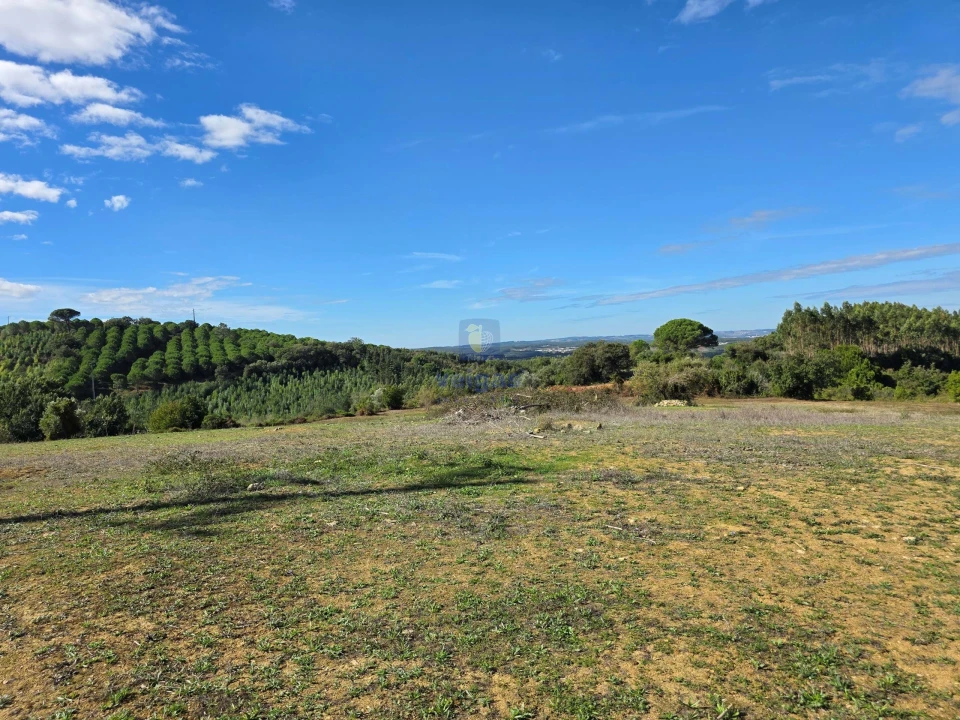 Terreno para Venda em Lamas e Cercal Foto 4