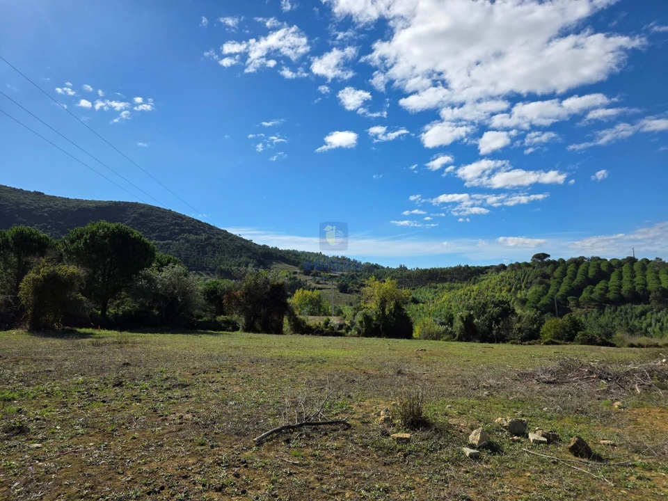 Terreno para Venda em Lamas e Cercal Foto 10
