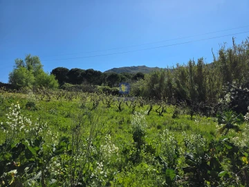 Terreno para Venda em Lamas e Cercal