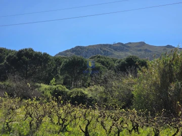 Terreno para Venda em Lamas e Cercal
